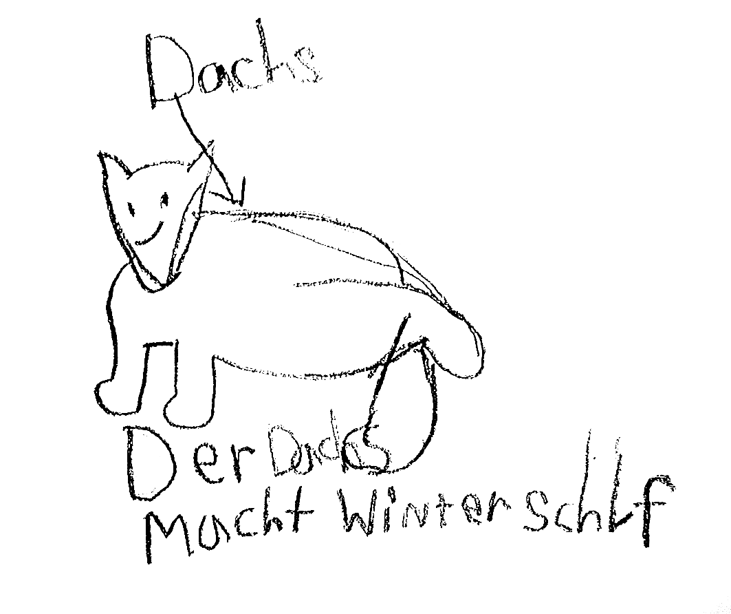Dachs im Winterschlaf